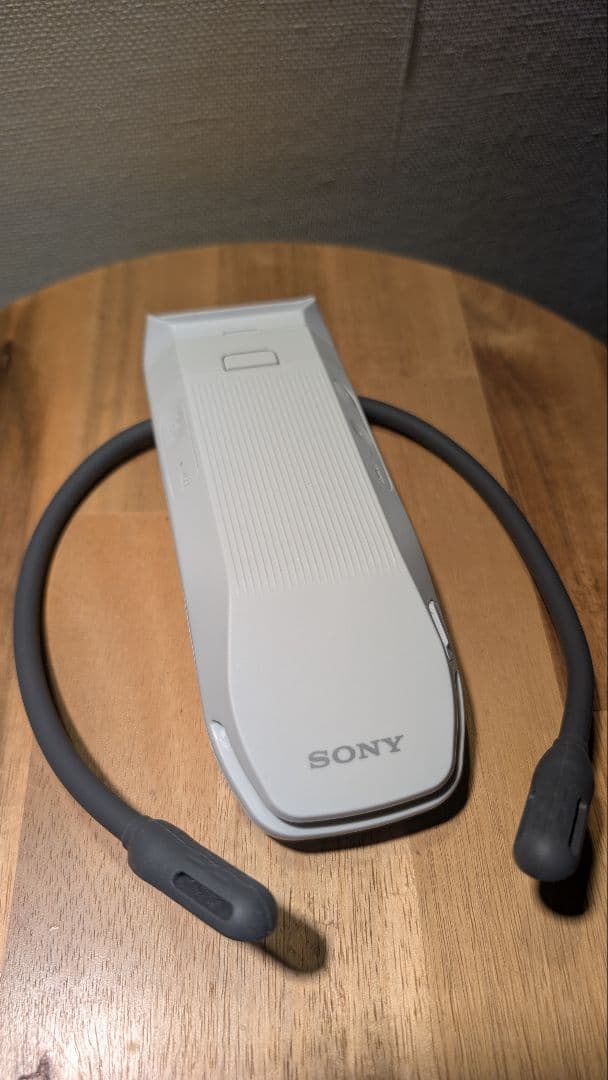 【箱無し】SONY REON POCKET PRO (RNPK-P1)