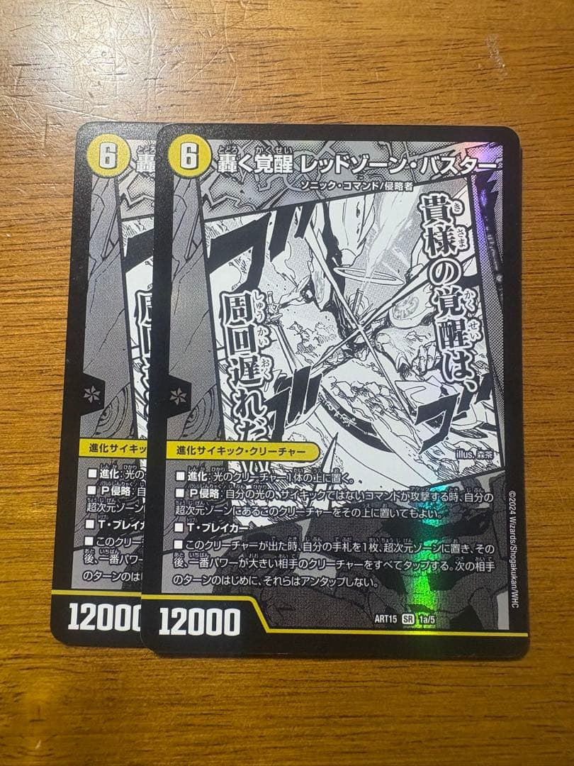 り*の様 レッドゾーンバスター/ドギラゴンx 神アート　2枚セット