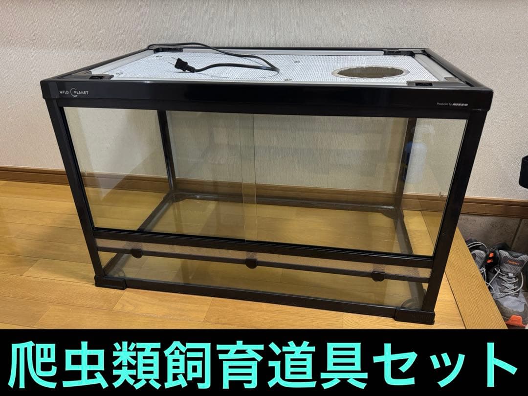 WildPlanet850ケース他フトアゴヒゲトカゲ飼育セット（現地引渡し）