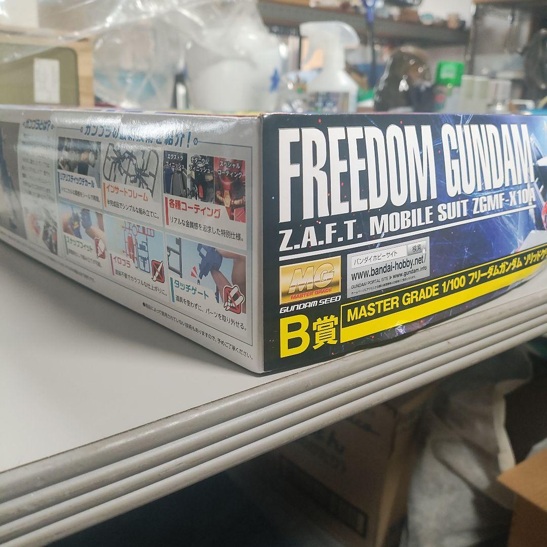 MG フリーダムガンダム 1/100 B賞