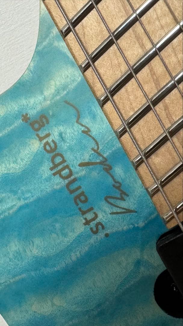 朝日六花コラボモデル ストランドバーグ strandberg 6弦 ケース付き