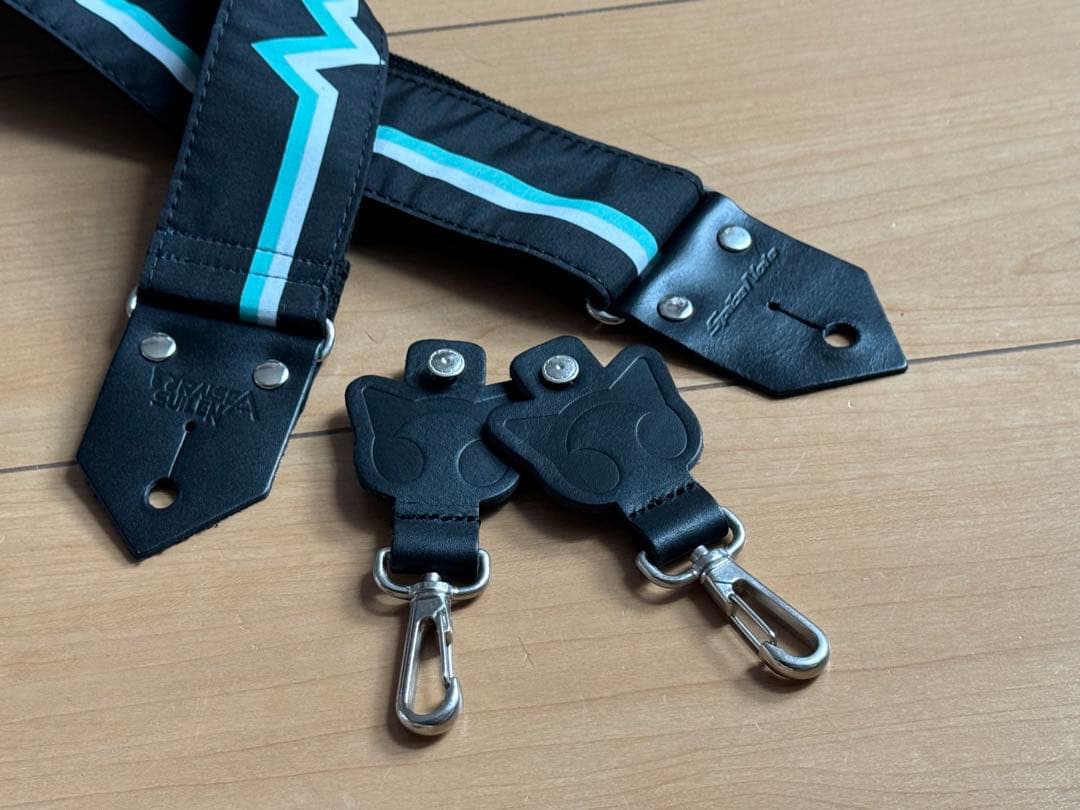 朝日六花コラボモデル ストランドバーグ strandberg 6弦 ケース付き