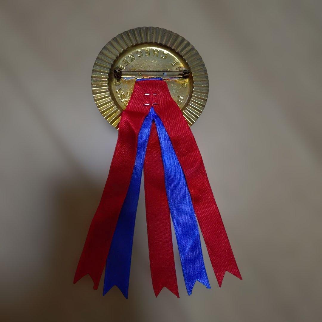 チェッカーズ サイン色紙 ファンクラブ限定 勲章 バッジ ファンレターの返事