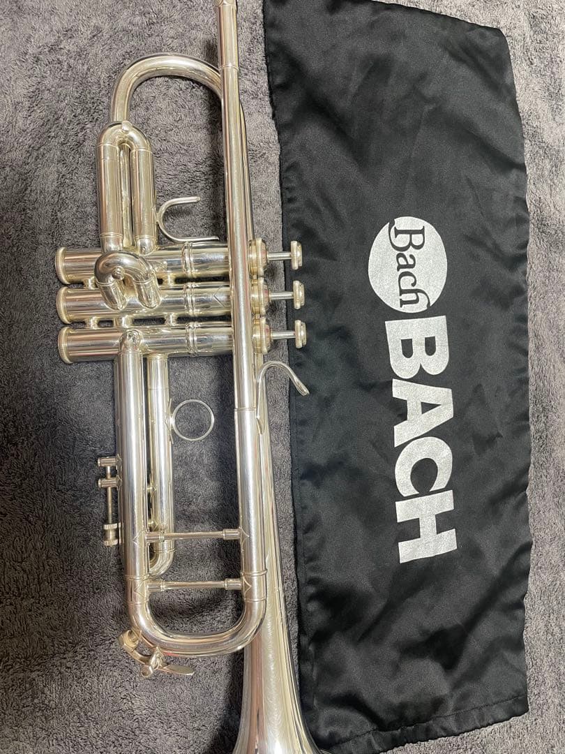 【専用】alice♡プロフお読みくださいませ