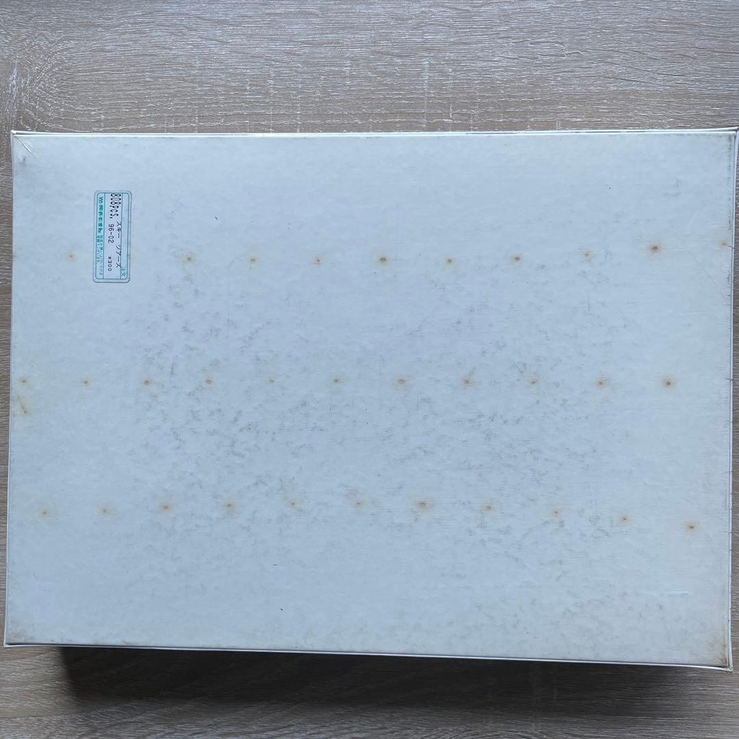 ジグソーパズル　ジェイムス・リッツィ　スキーツアーズ　808P 未開封