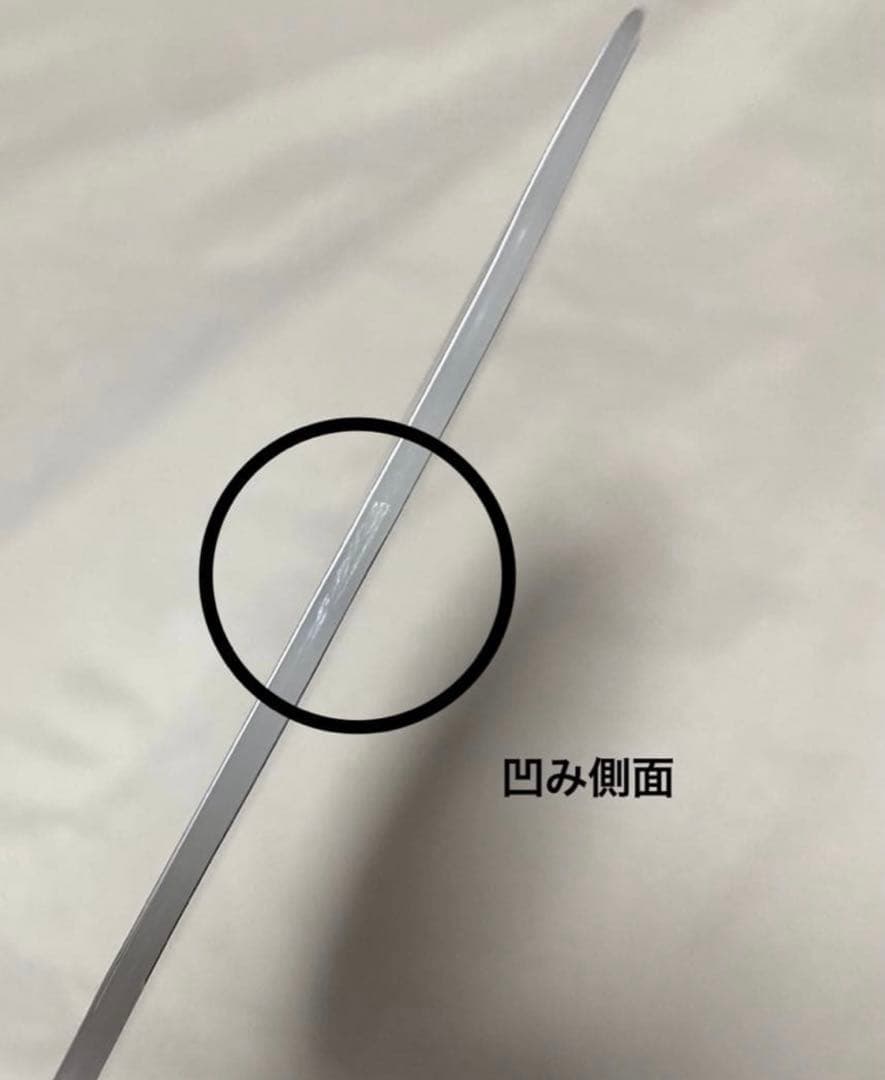 SEVENTEEN ウォヌ ホリコレ うちわ ピケット セブチ