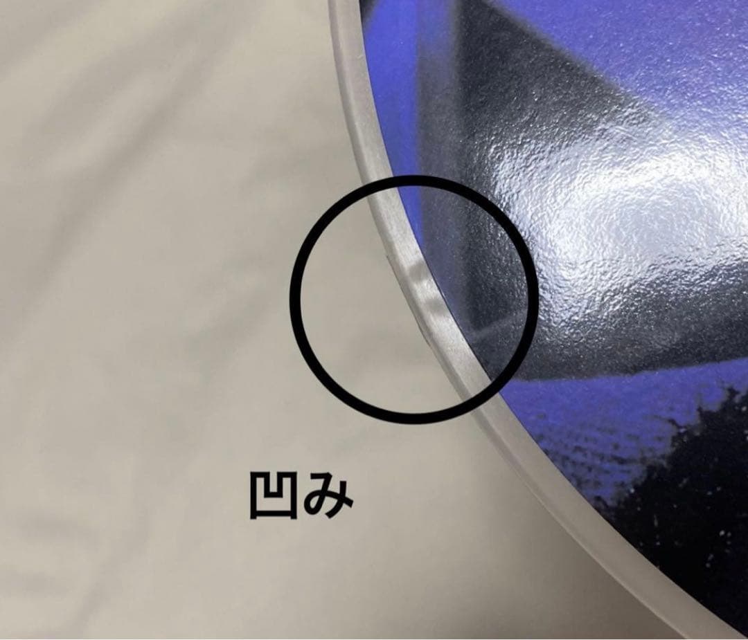 SEVENTEEN ウォヌ ホリコレ うちわ ピケット セブチ