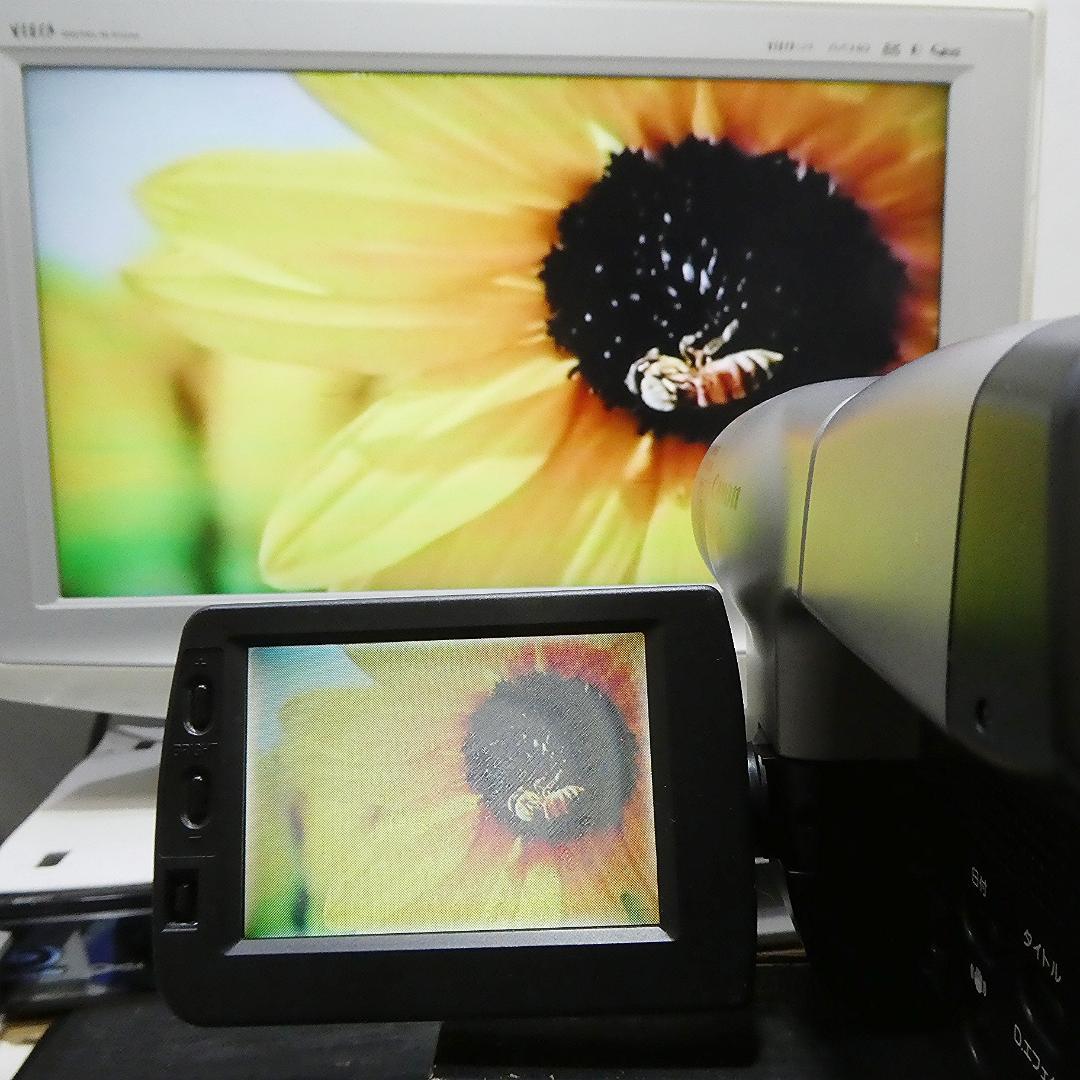 動動作良好キャノンMB-V72 VideoHi8 8ミリビデオカメラ DVD化に