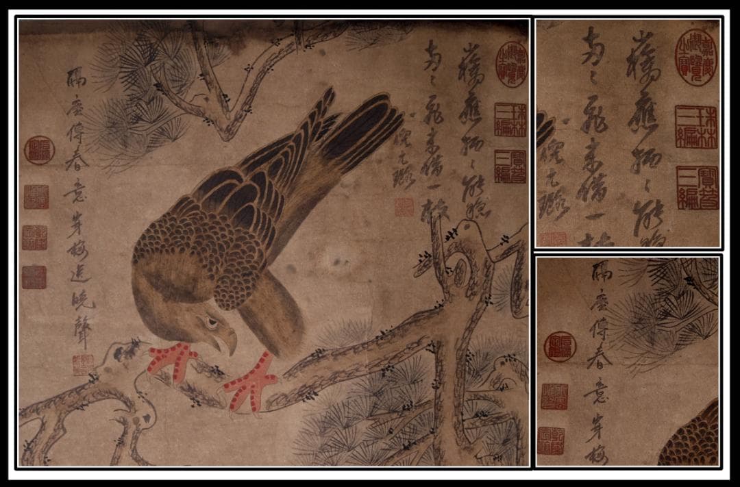 【骨董掛け軸】花鳥図 中国顾闵中　肉筆掛け軸　 唐物唐本　AK610A12-2