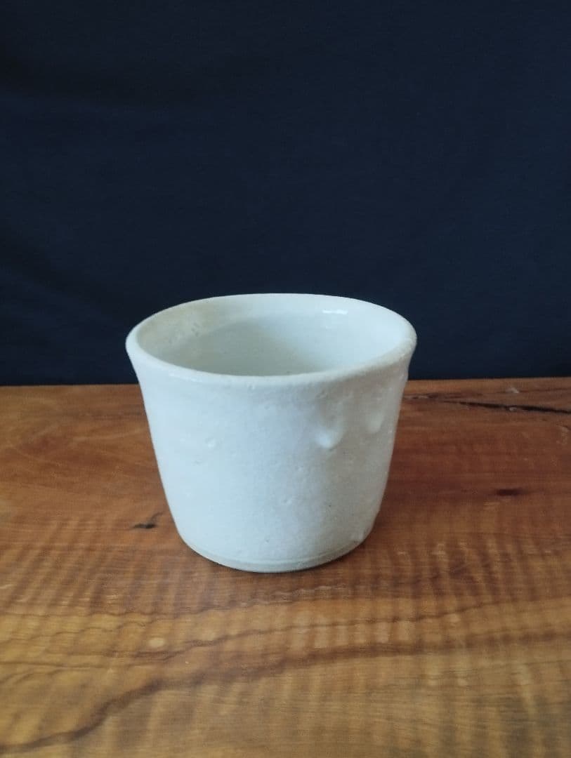 値下げしました　今井政之 　志野釉　鉄絵海老小鉢(そば猪口)5客揃