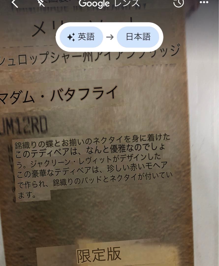 メリーソート　MADAM BUTTERFLY テディベア マダムバタフライ