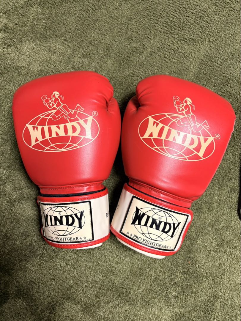 WINDY ボクシンググローブ シンガードセット