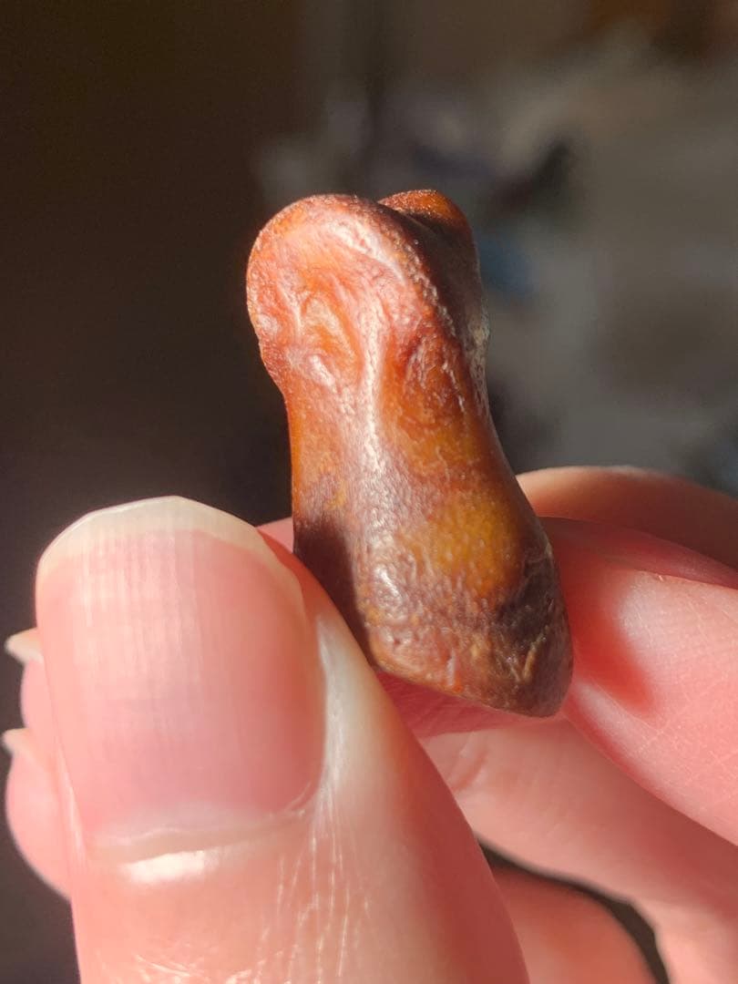 呪物　カパラ　チベット　カパーラ　頭蓋骨　クマントーン　プラクルアン　根付　密教