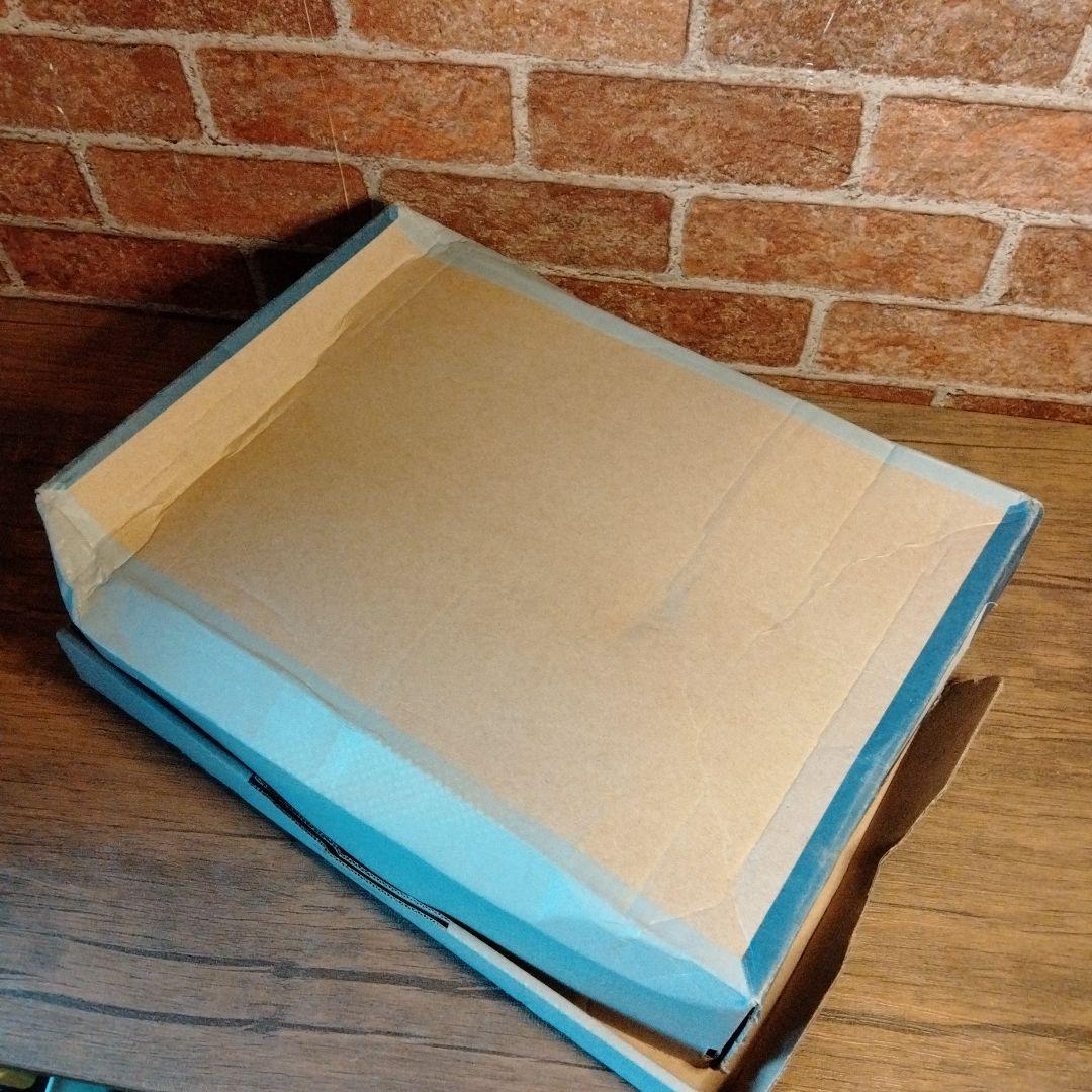 アシックス EX-EO レスリングシューズ #541