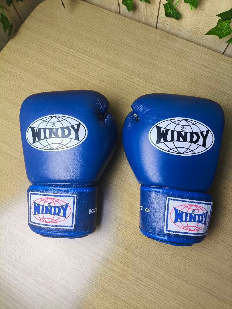 WINDY ウィンディ ボクシンググローブ12oz レガースM 青