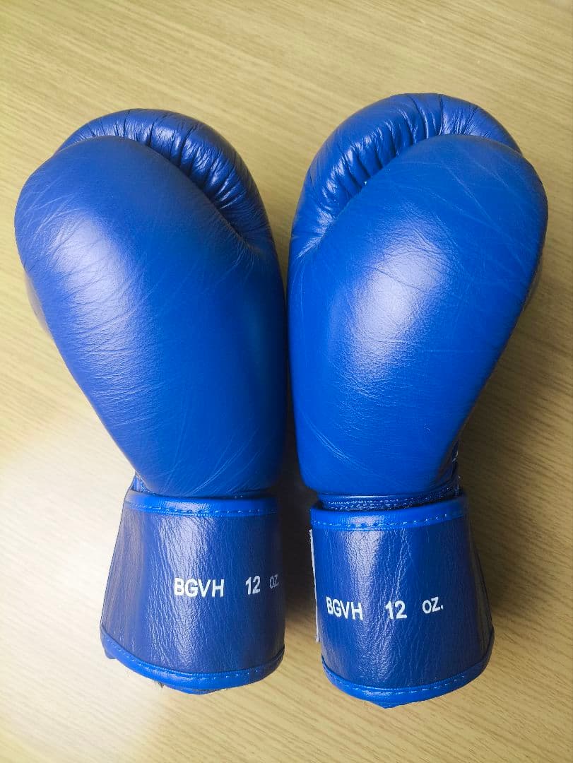 WINDY ウィンディ ボクシンググローブ12oz レガースM 青