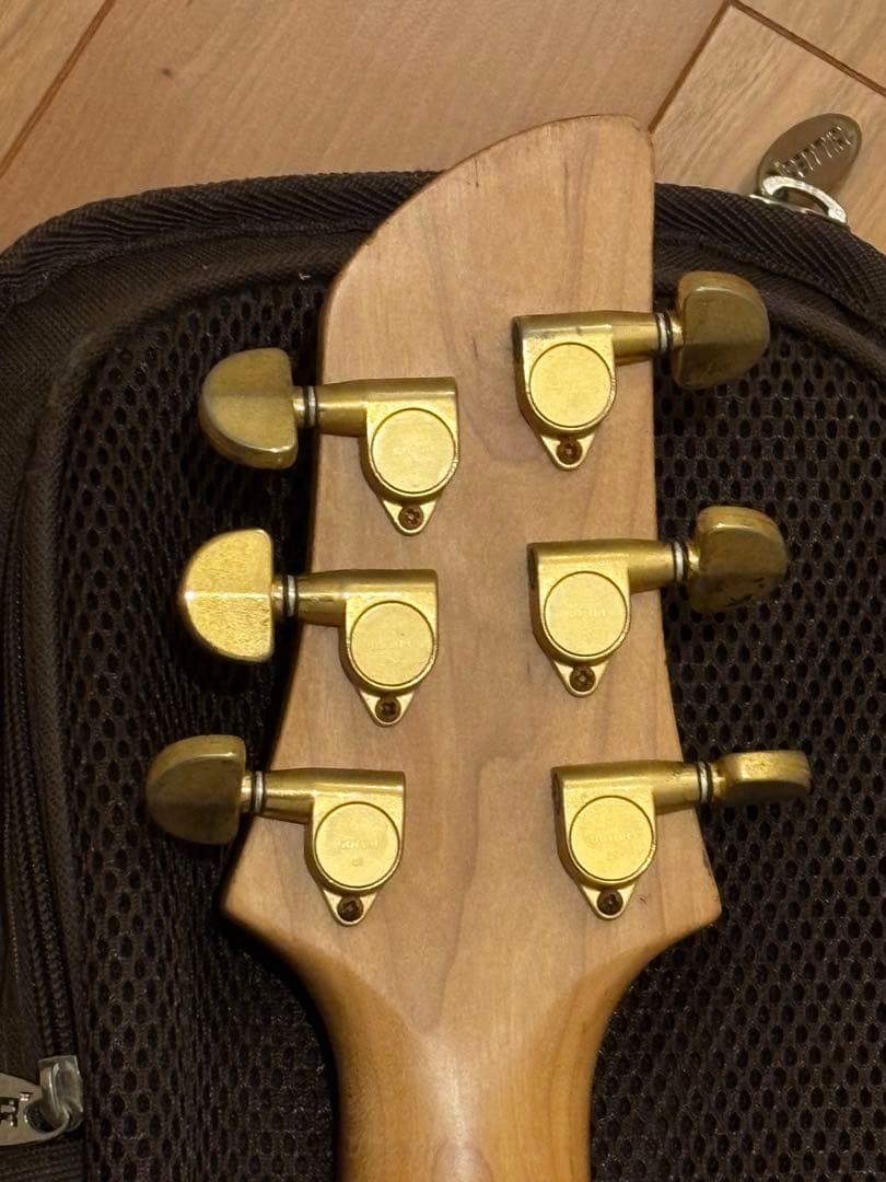 s*n様 FERNANDES APG-85S／フェルナンデス／サスティナー／エレ