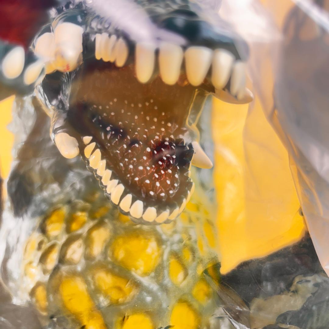 マルサン　ビオランテ　450　最終形態　映画ゴジラ対ビオランテ