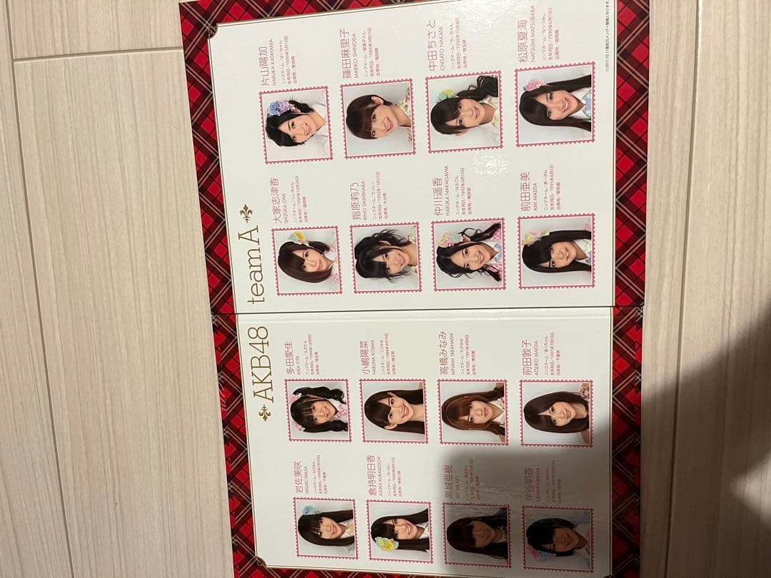 【レア品】AKB48 初期メンバーアルバム切手付き