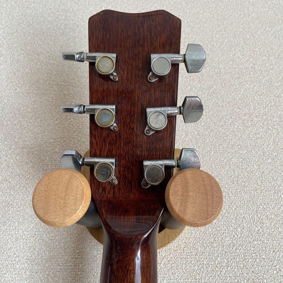 Sechong アコースティックギター EA-430CS サンバースト