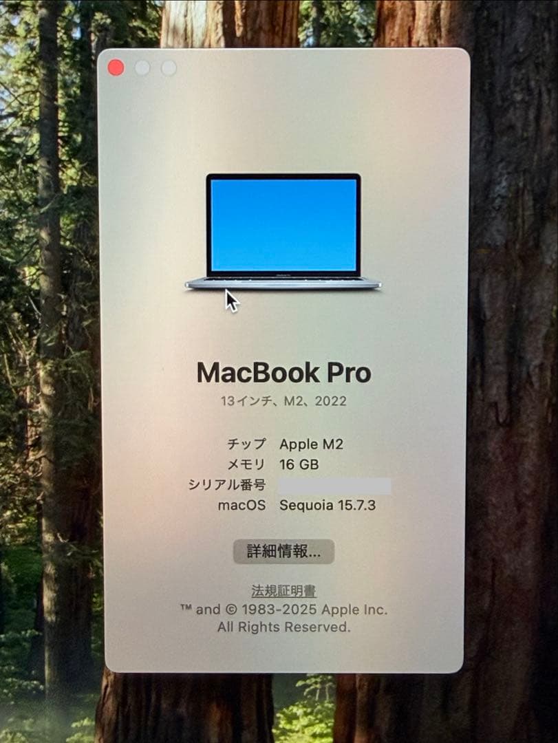MacBook本体 MacBookPro 2022 M2 16GB SSD256