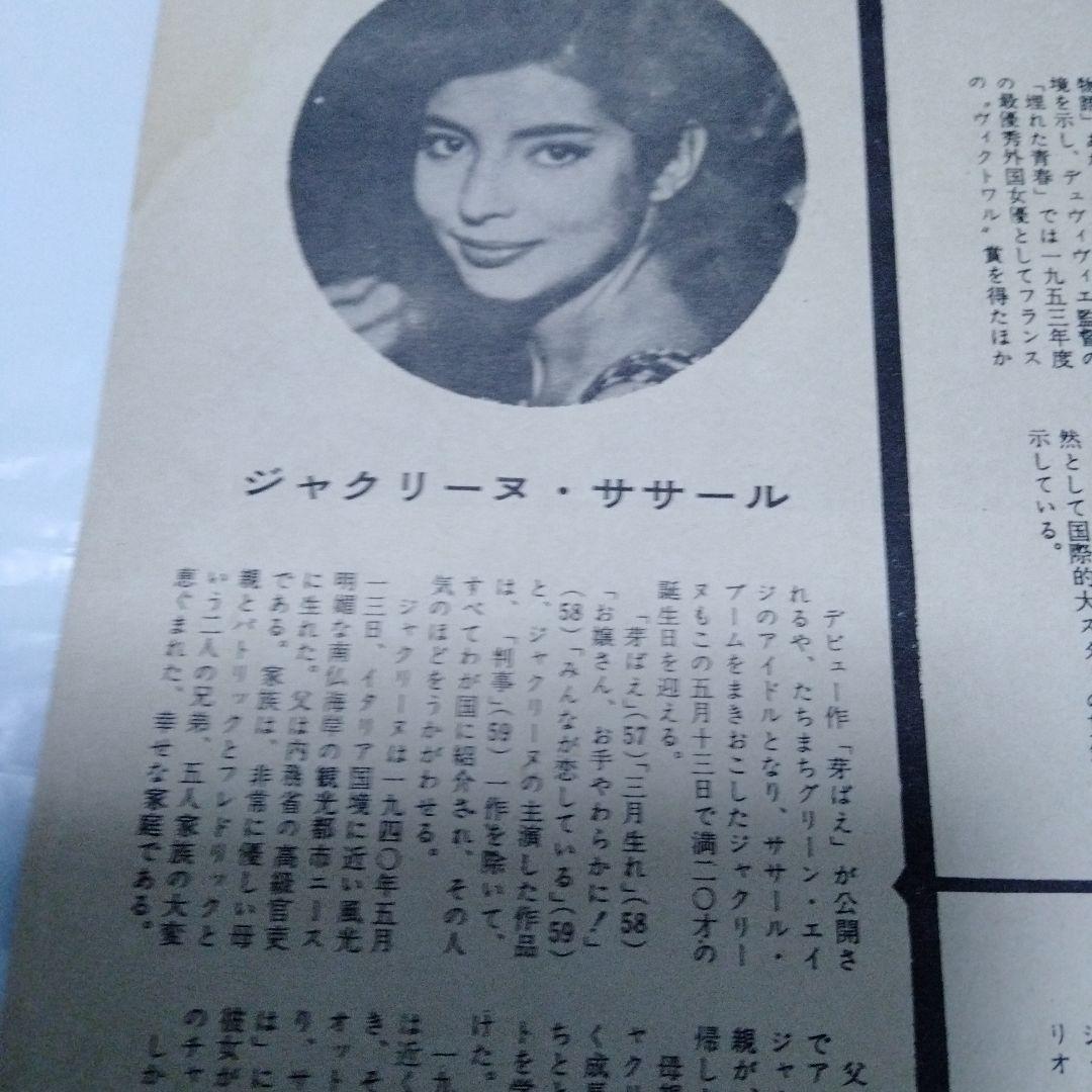 激しい季節　イタリア映画　60年　パンフレット　極レア　ズルリーニ　ドラゴ