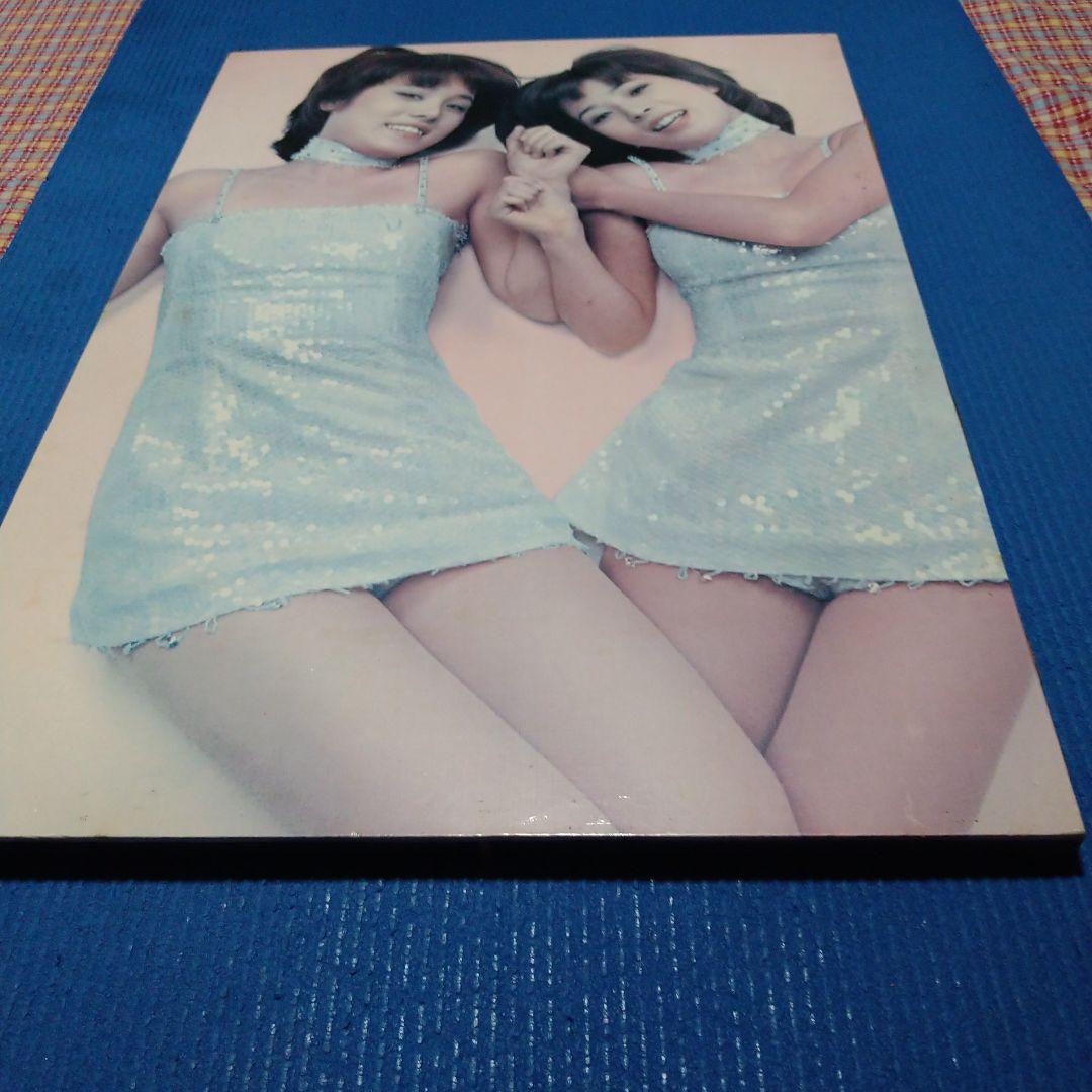 ピンクレディカラー40センチ✕56センチ