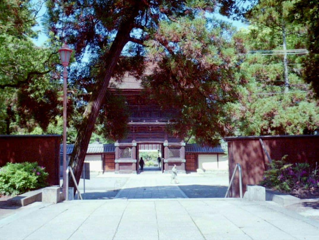 OLYMPUS PEN EE-2【実写済みの動作品です】