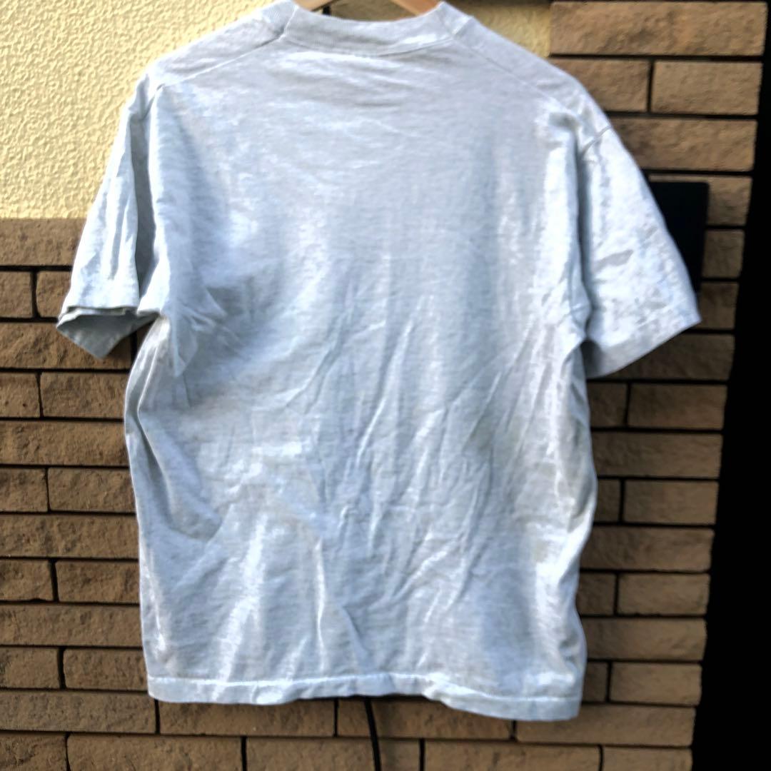 最安値マイプライベートアイダホ　ヴィンテージTシャツ