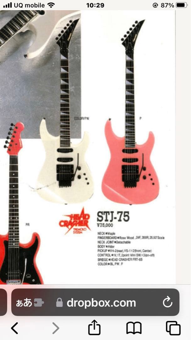 【レア】FERNANDES STJ-75
