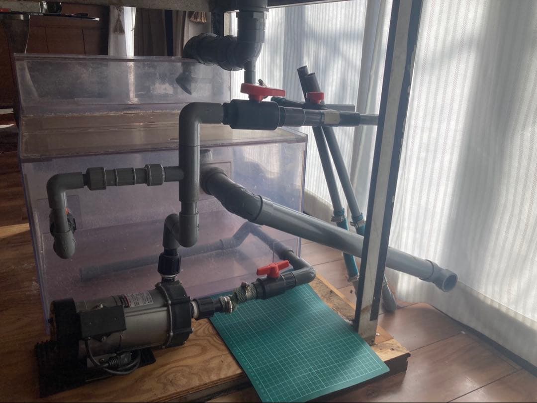 アクリル 大型 水槽 水槽セット 900×900×500 海水魚 珊瑚 飼育