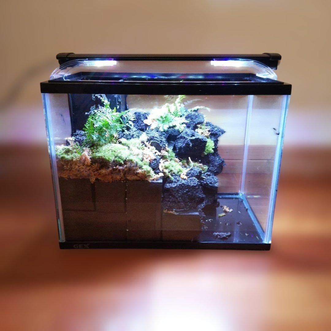 【受注生産】滝の流れるアクアテラリウム　イモリウム　苔　水槽　苔テラリウム