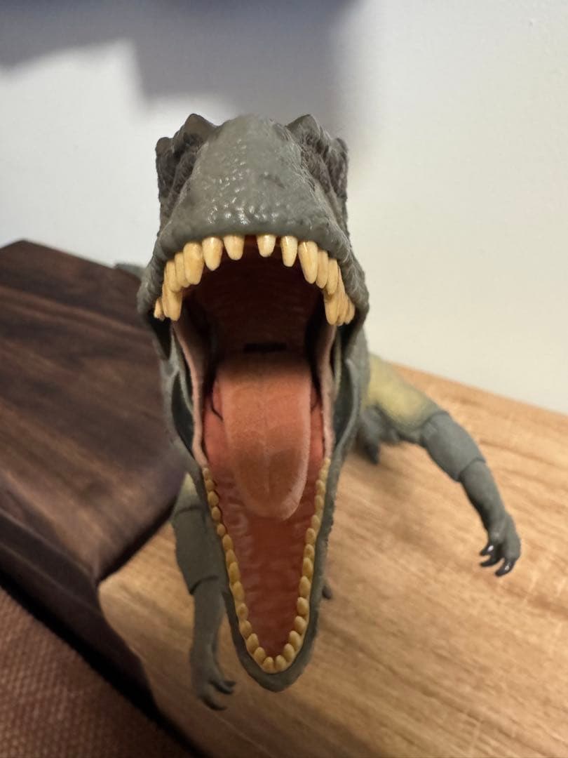 ハモンドコレクション　ギガノトサウルス