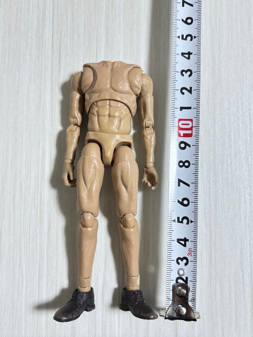 可動域 カスタム フィギュア 素体