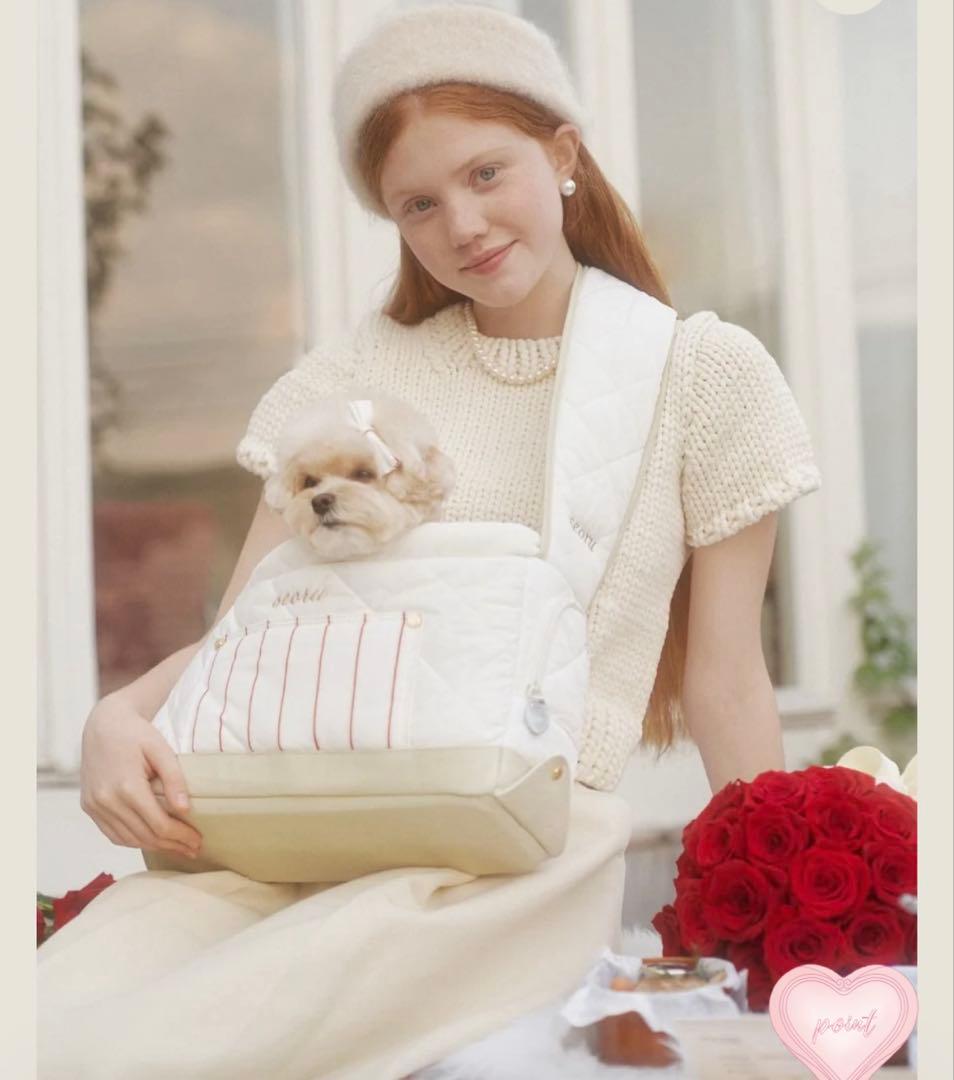 ソル[SEORU] flers veru bag Ｌサイズ