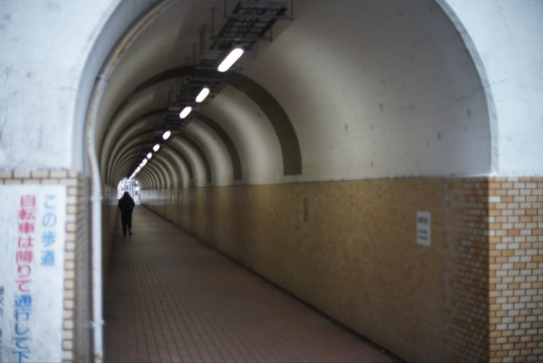 【良品】Nikon NIKKOR-S Auto 50mm f1.4 分解清掃済み