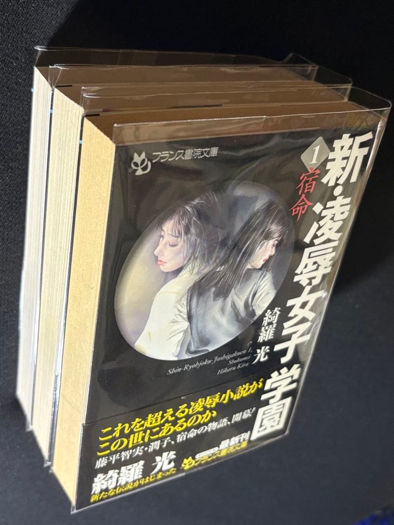 希少【傑作】【初版】凌辱女子学園 全巻セット 綺羅光※ 人気ランキング１位の傑作