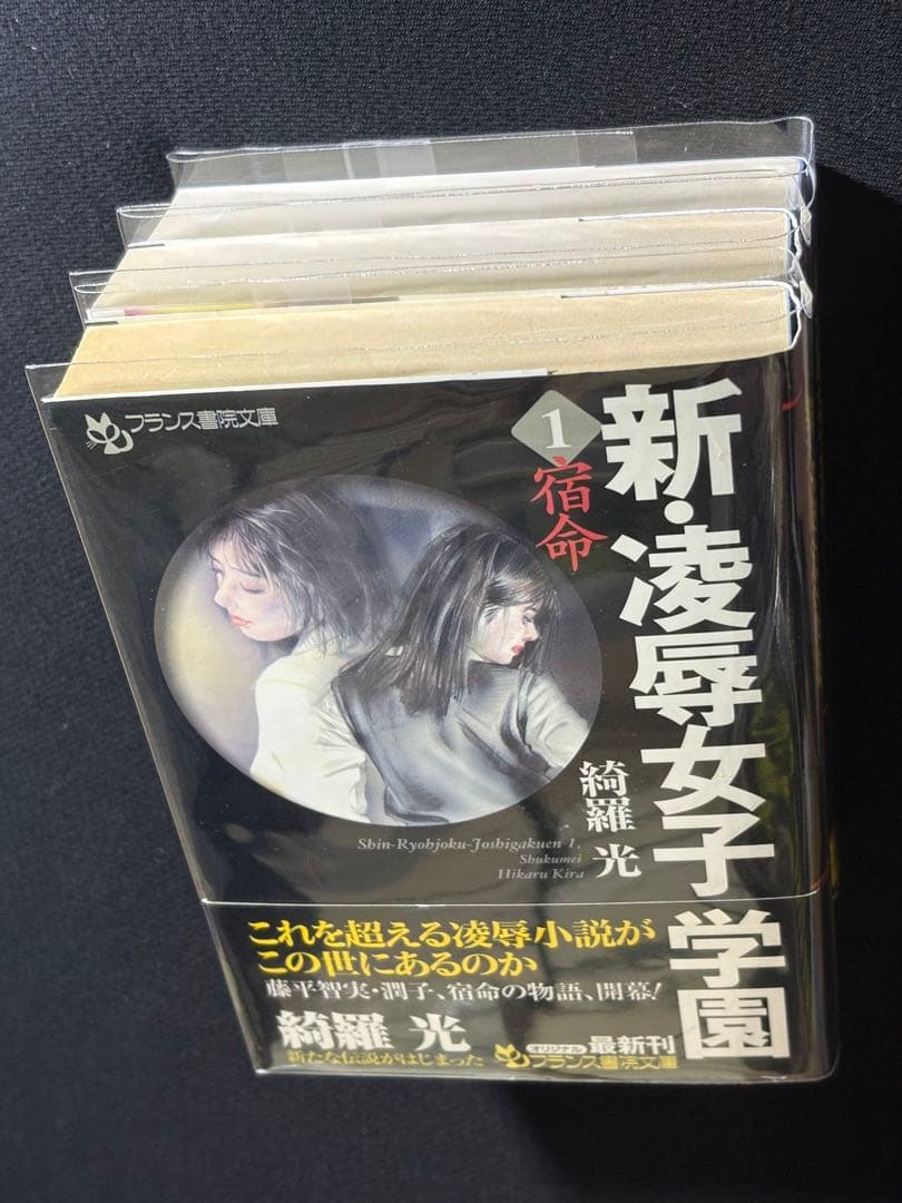 希少【傑作】【初版】凌辱女子学園 全巻セット 綺羅光※ 人気ランキング１位の傑作