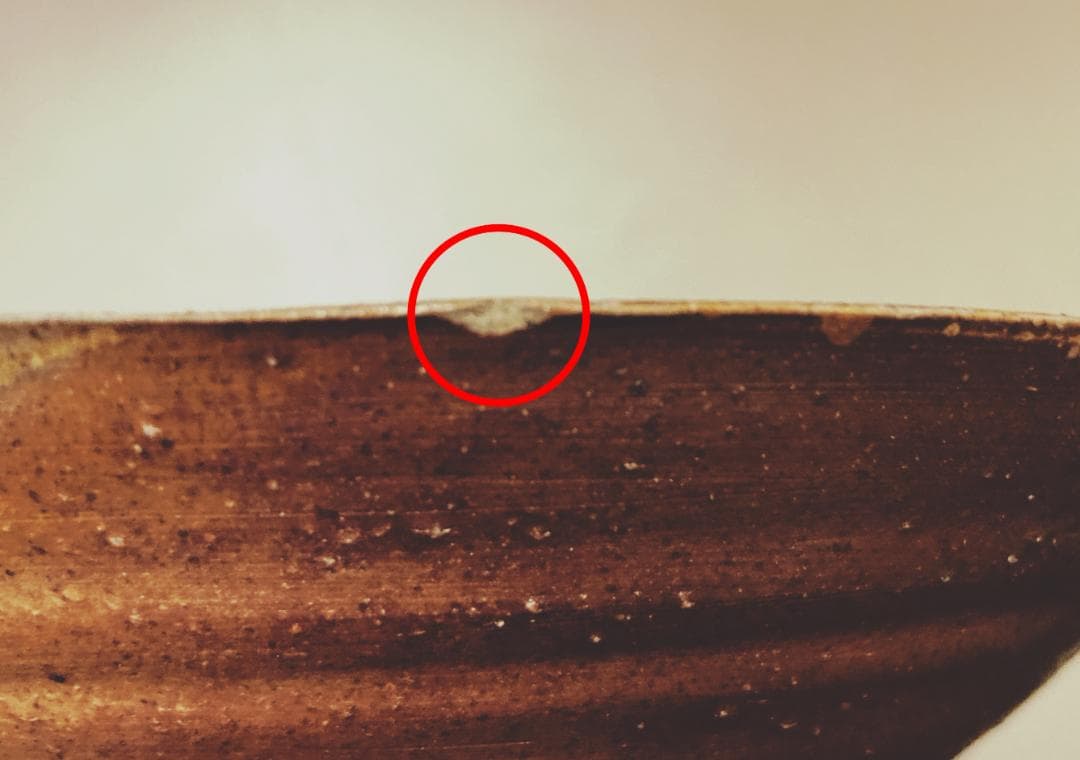 【値下げ】 木村桃山 備前焼 茶碗 【真作保証】