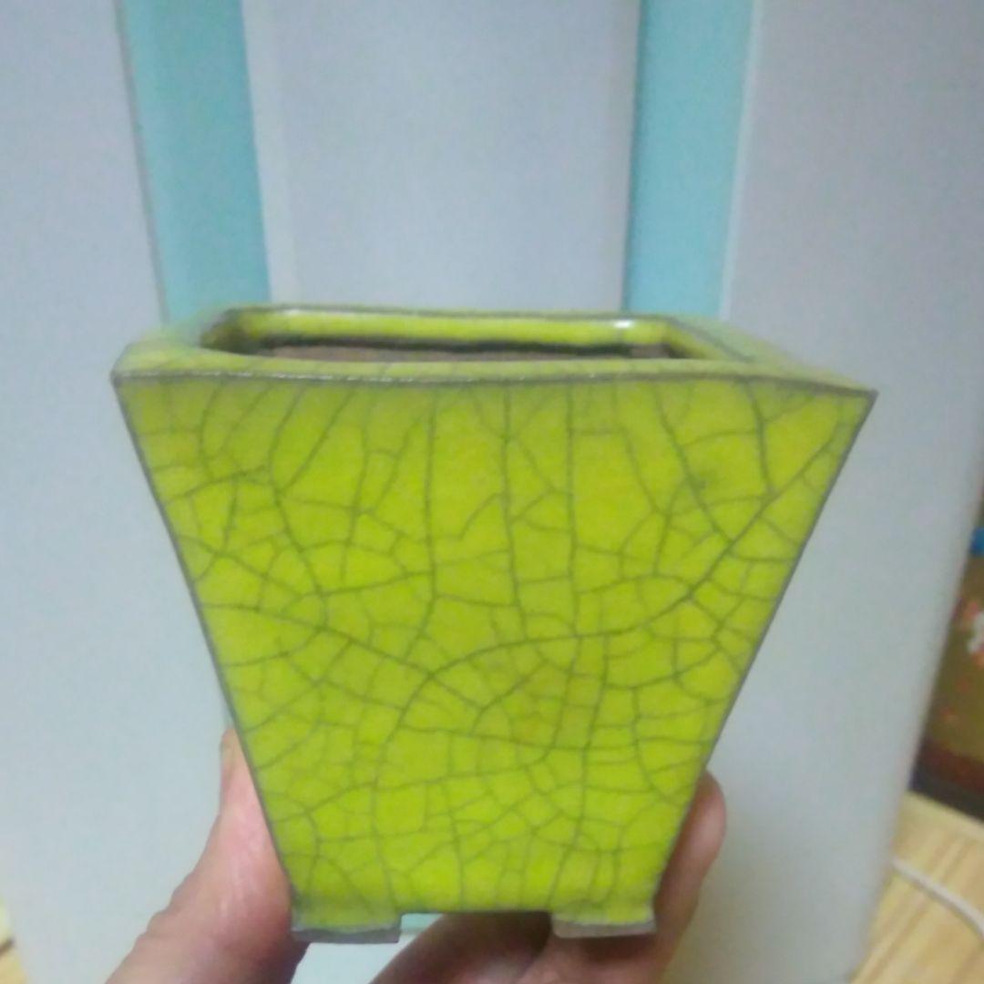 ミニ鉢、盆栽鉢、盆栽小鉢、鉢、植木鉢、山野草鉢、盆栽