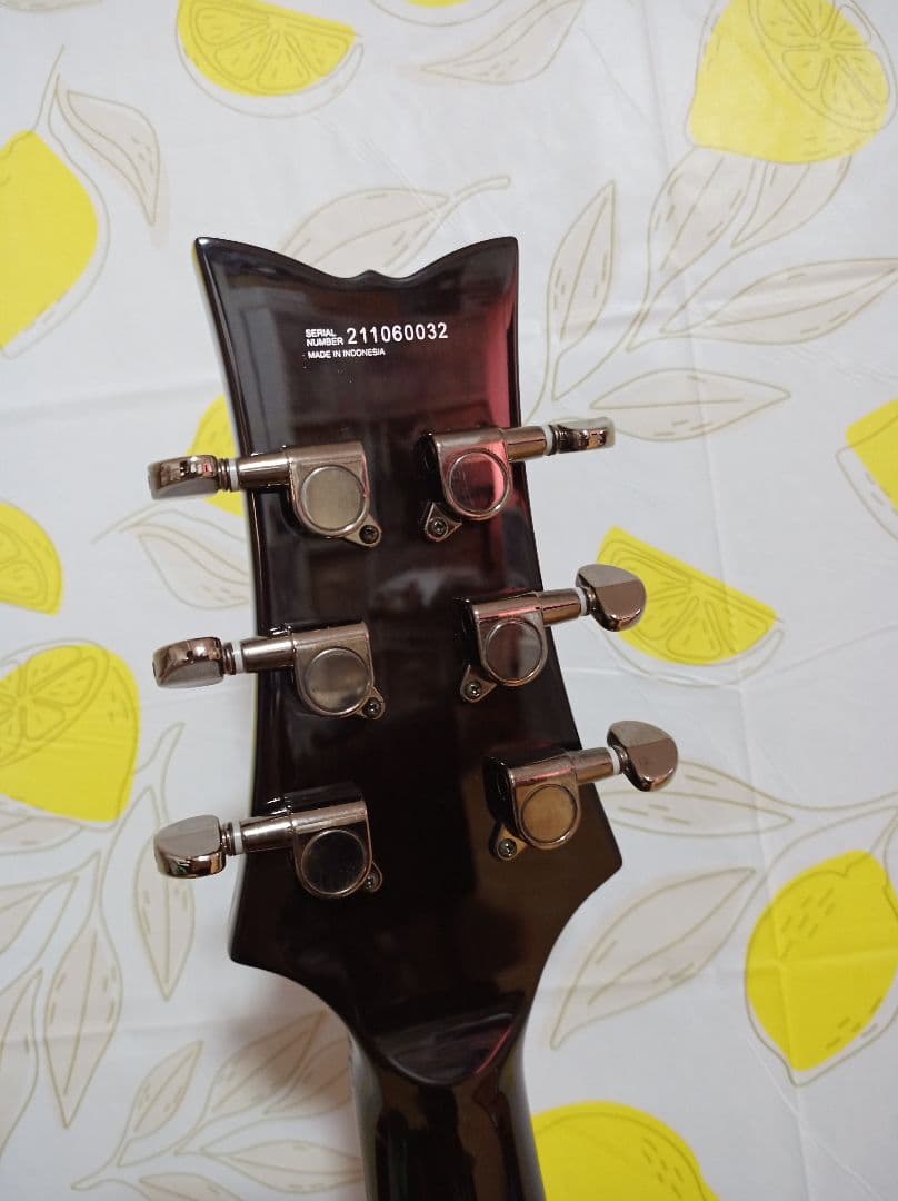 ギター Daisy Rock Stardust Elite Midnight Burst