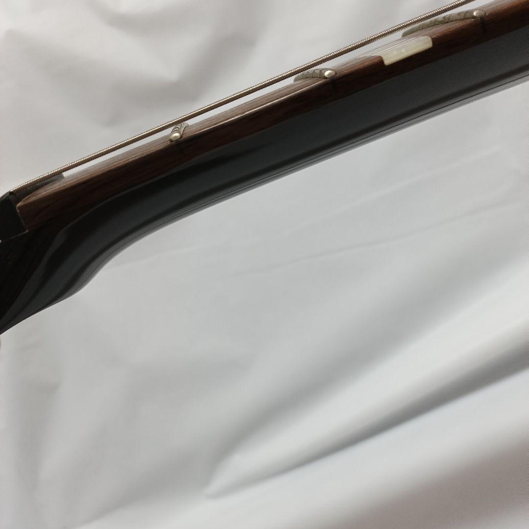 ギター Daisy Rock Stardust Elite Midnight Burst