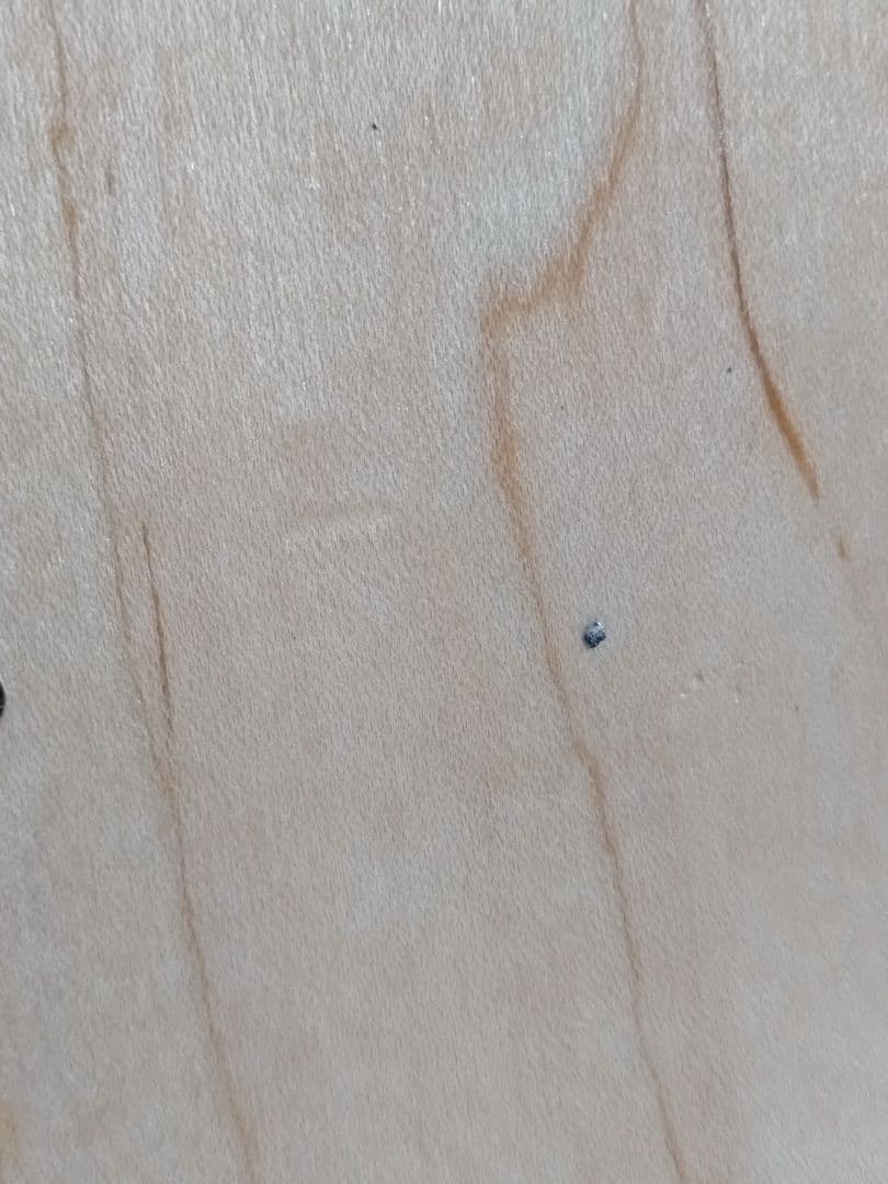 アンディウォーホル×THE SKATEROOM スケートデッキ キャンベルスープ