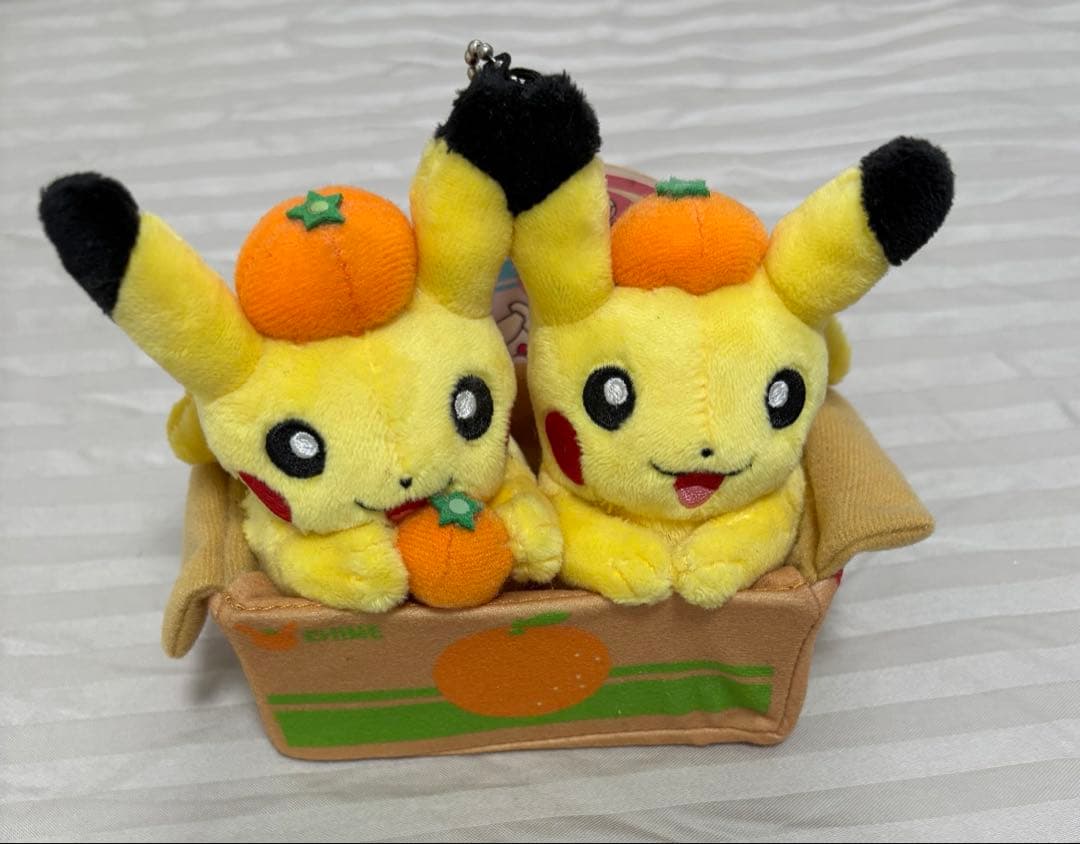 ポケモン マスコット ペアピカチュウとえひめみかん