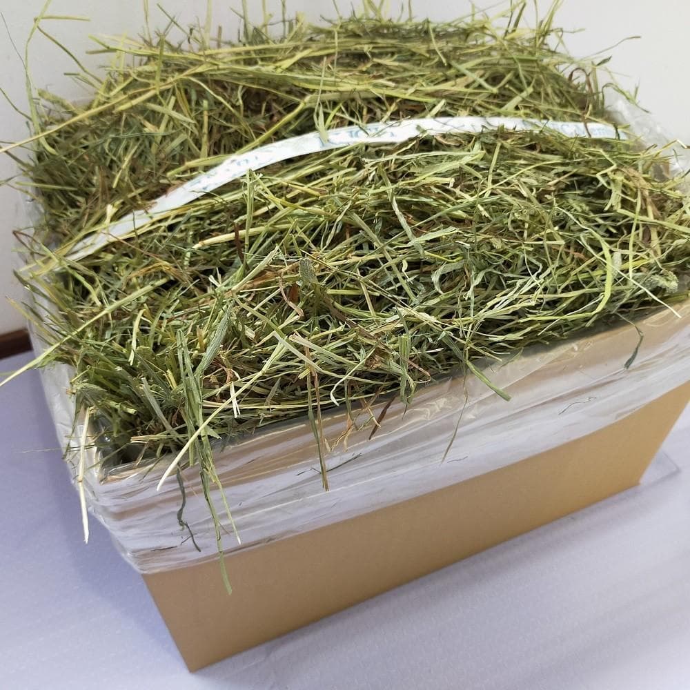 【お得な業販価格】US産 チモシー 2番刈り 300kg ソフトSプレミアム