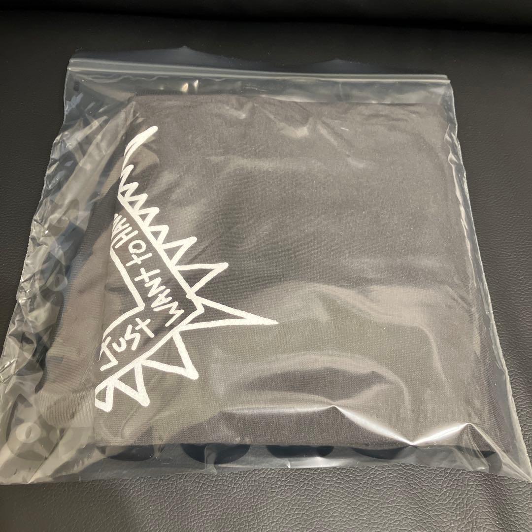 シンディローパー　公式2025ツアー　Punk Heart Tシャツ Ｌサイズ