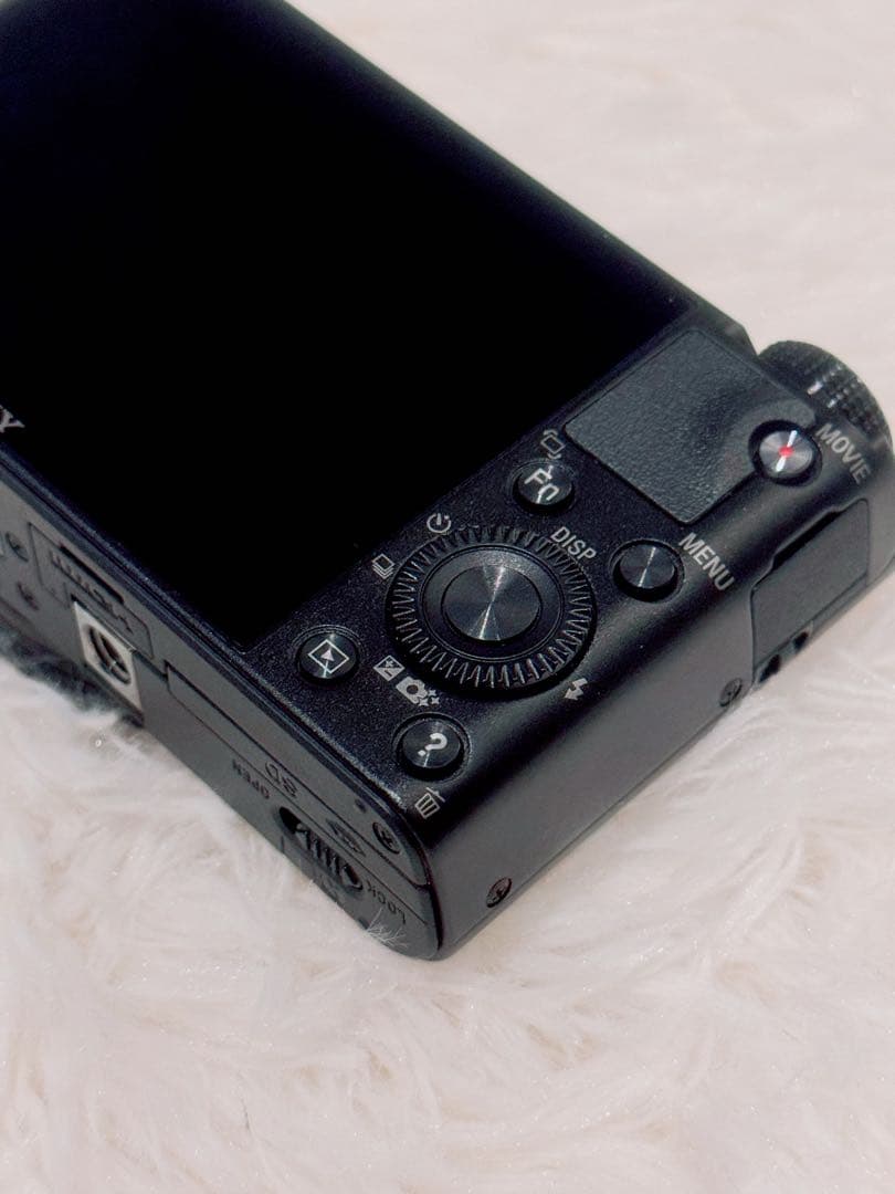 【極美品！】SONY RX100 初代