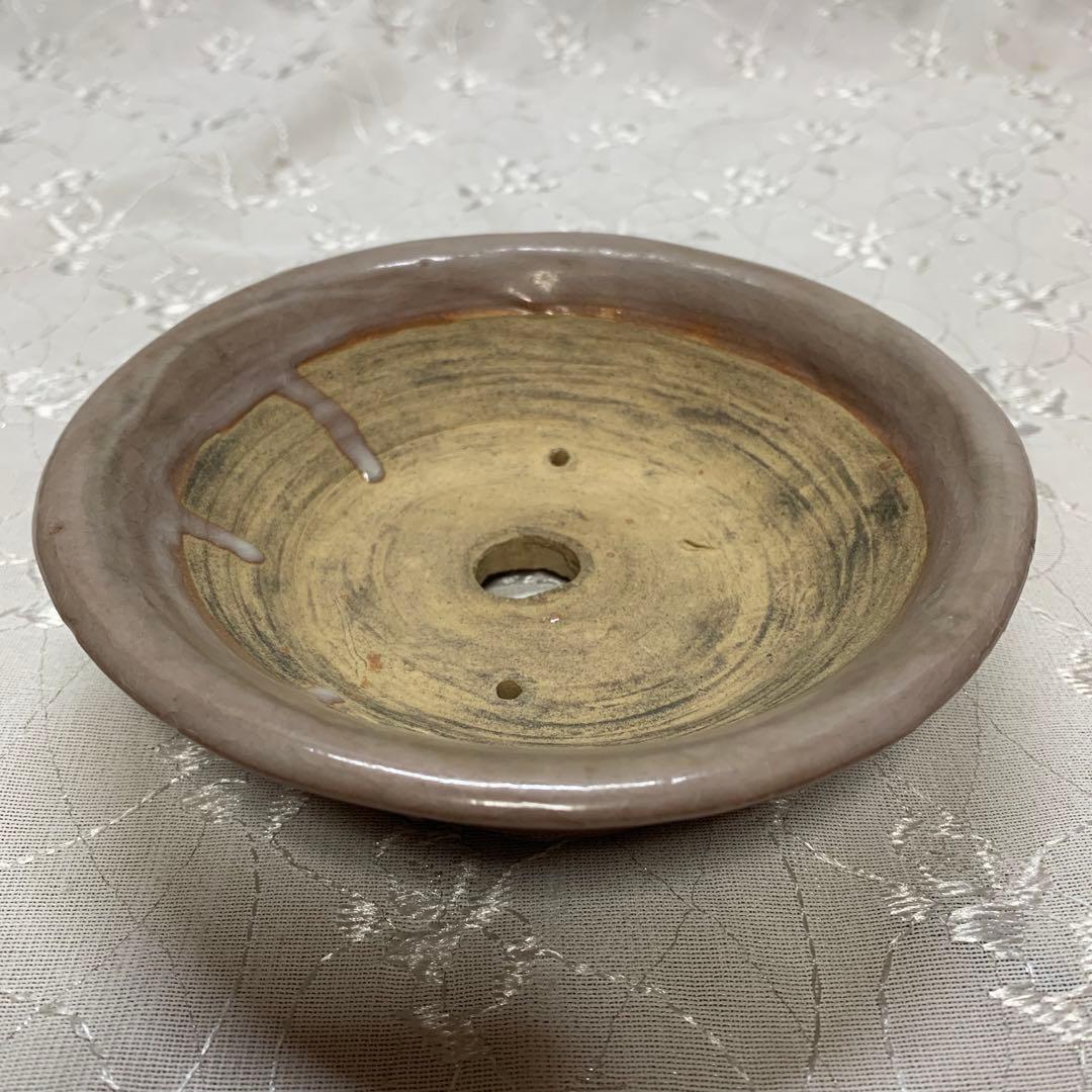 侘助　丸　浅め　盆栽鉢