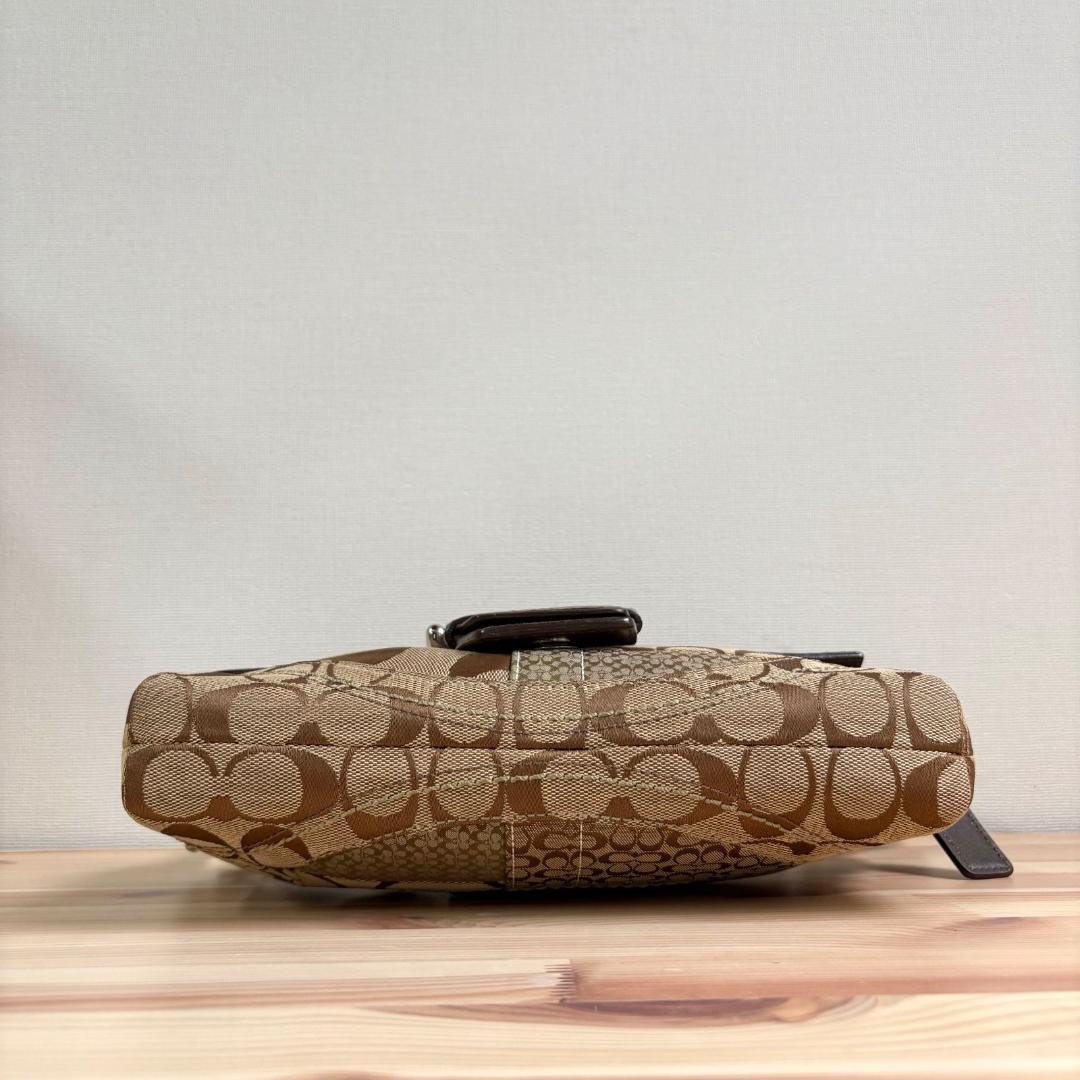 バッグ Coach Soho Suede Patchwork Python Bag