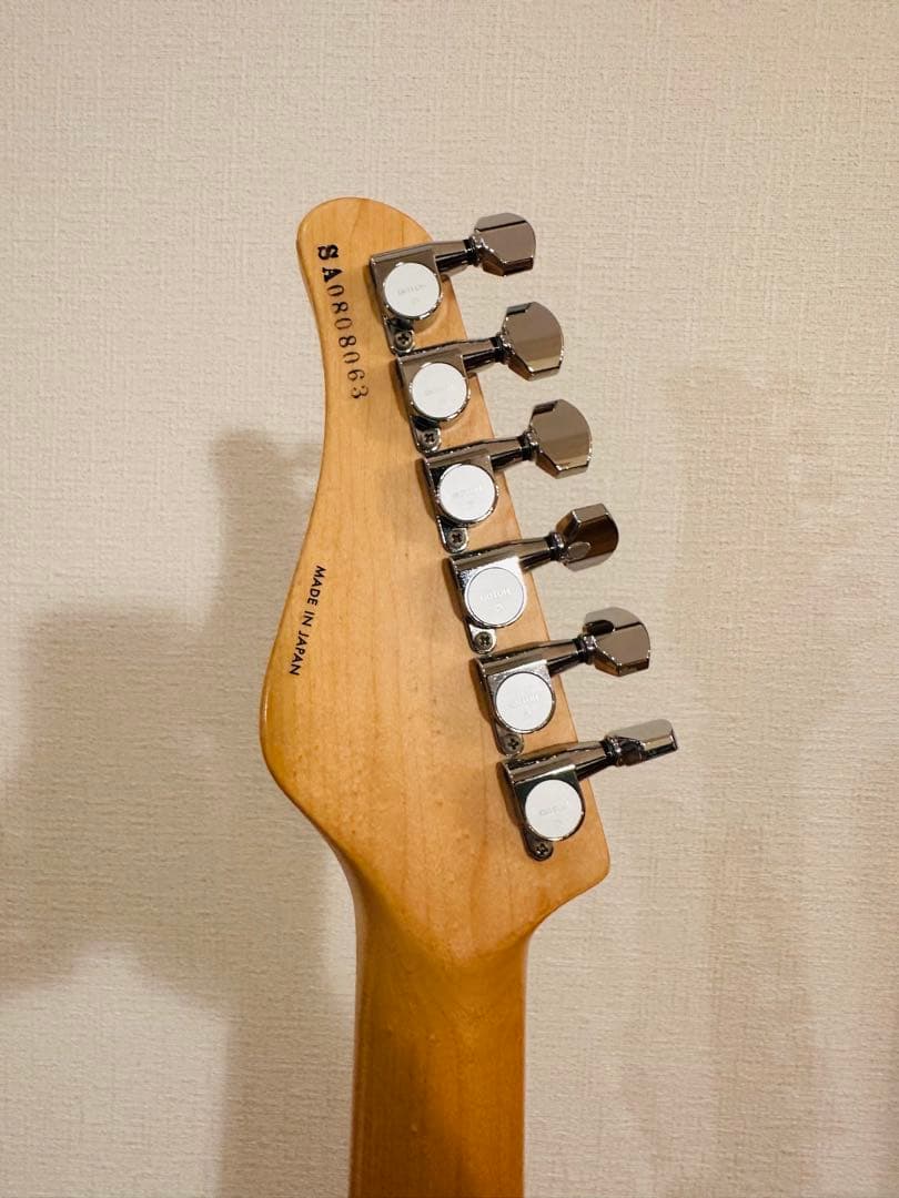 ギター Schector SD-2-24 ASH